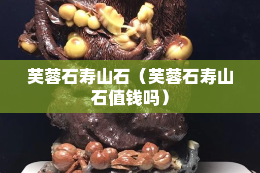 芙蓉石壽山石（芙蓉石壽山石值錢嗎）