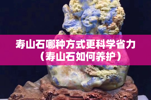 壽山石哪種方式更科學省力（壽山石如何養護）