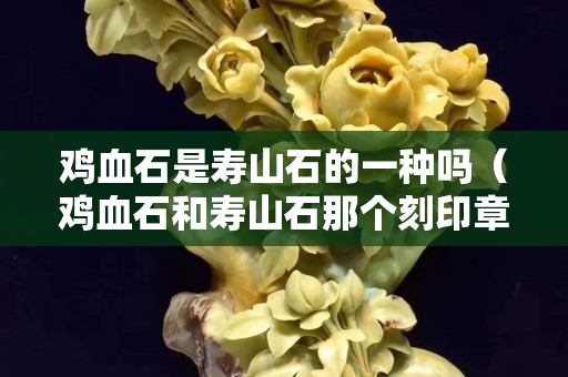 雞血石是壽山石的一種嗎（雞血石和壽山石那個刻印章好）