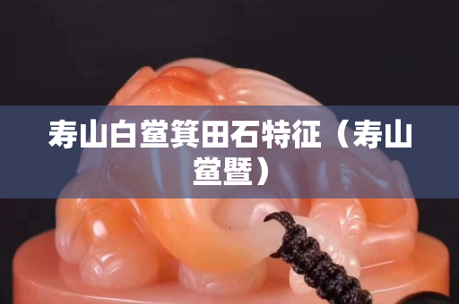 壽山白鱟箕田石特征（壽山鱟暨）