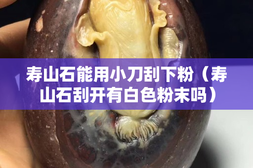 壽山石能用小刀刮下粉（壽山石刮開有白色粉末嗎）