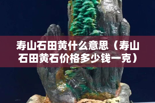 壽山石田黃什么意思（壽山石田黃石價格多少錢一克）