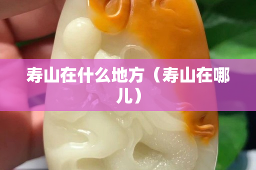 壽山在什么地方（壽山在哪兒）