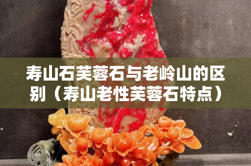 壽山石芙蓉石與老嶺山的區別（壽山老性芙蓉石特點）