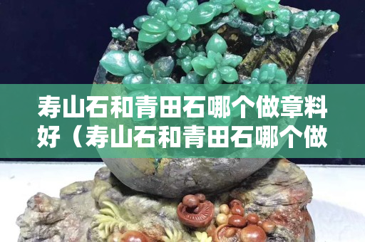 壽山石和青田石哪個(gè)做章料好（壽山石和青田石哪個(gè)做章料好一些）