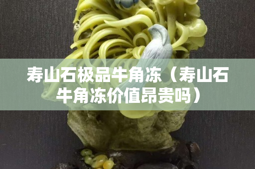壽山石極品牛角凍（壽山石牛角凍價(jià)值昂貴嗎）