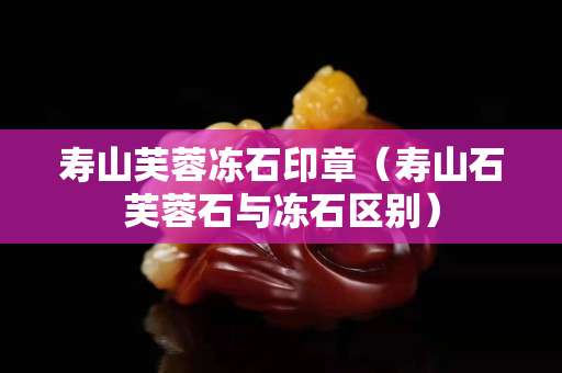 壽山芙蓉凍石印章（壽山石芙蓉石與凍石區別）