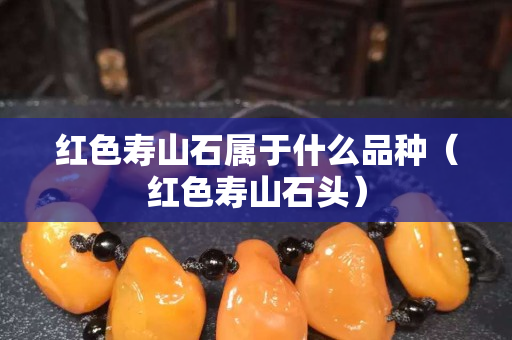 紅色壽山石屬于什么品種（紅色壽山石頭）