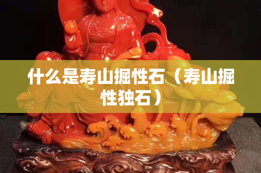 什么是壽山掘性石（壽山掘性獨石）