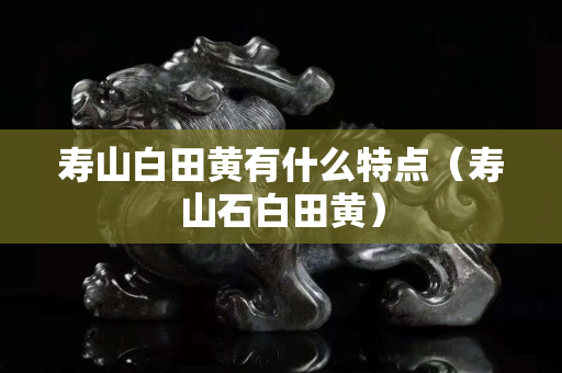 壽山白田黃有什么特點（壽山石白田黃）