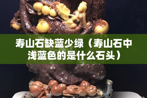 壽山石缺藍少綠（壽山石中淺藍色的是什么石頭）