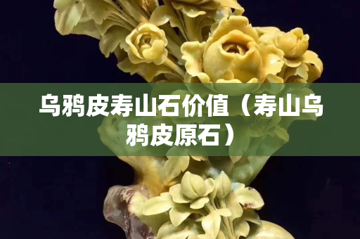 烏鴉皮壽山石價值（壽山烏鴉皮原石）