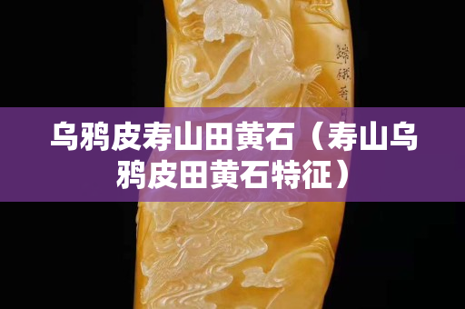 烏鴉皮壽山田黃石（壽山烏鴉皮田黃石特征）
