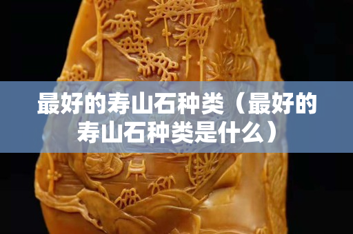 最好的壽山石種類（最好的壽山石種類是什么）