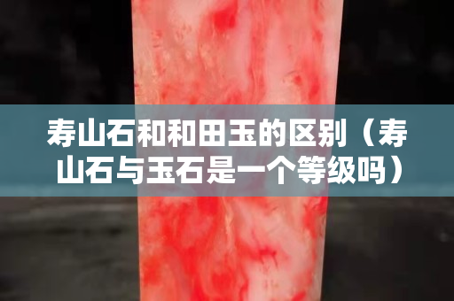壽山石和和田玉的區別（壽山石與玉石是一個等級嗎）
