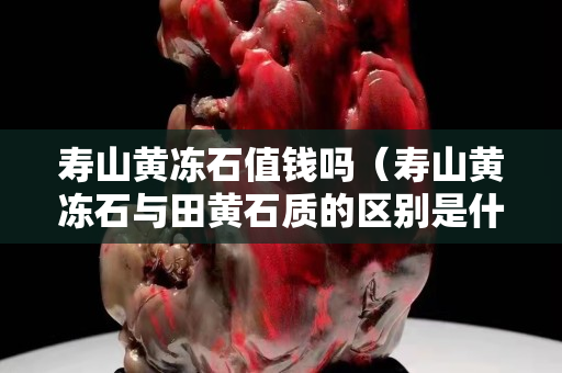 壽山黃凍石值錢嗎（壽山黃凍石與田黃石質的區別是什么）