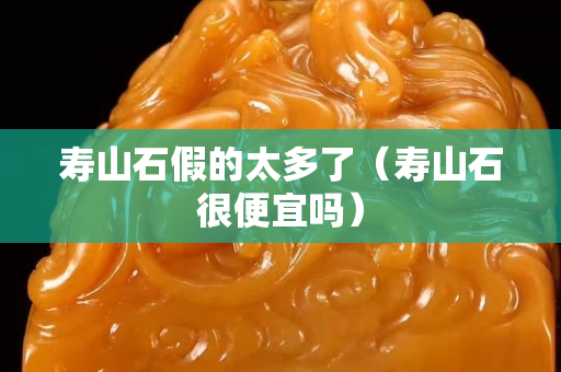 壽山石假的太多了（壽山石很便宜嗎）
