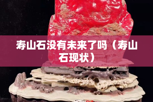 壽山石沒有未來了嗎（壽山石現狀）