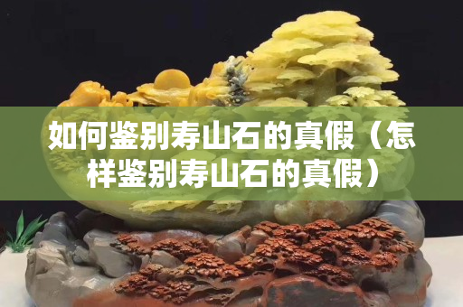 如何鑒別壽山石的真假（怎樣鑒別壽山石的真假）