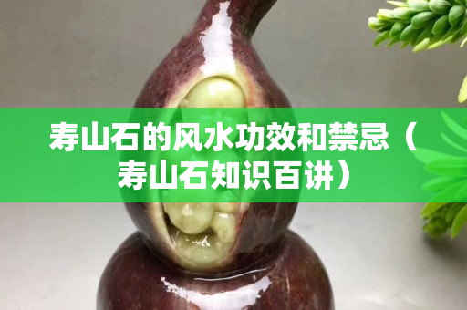 壽山石的風(fēng)水功效和禁忌（壽山石知識(shí)百講）