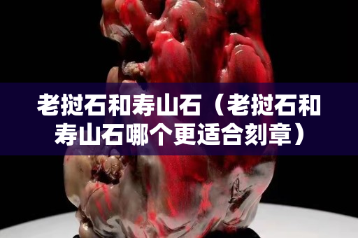 老撾石和壽山石（老撾石和壽山石哪個更適合刻章）
