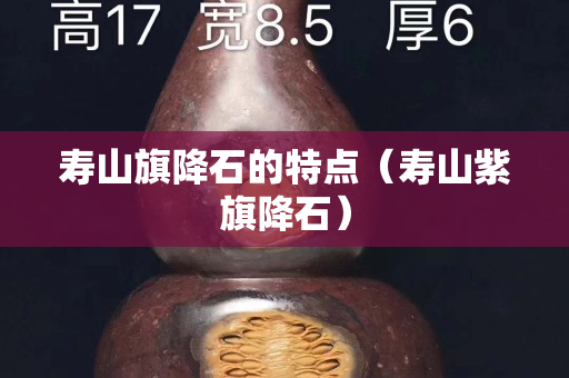 壽山旗降石的特點（壽山紫旗降石）