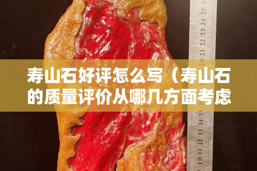 壽山石好評怎么寫（壽山石的質量評價從哪幾方面考慮）
