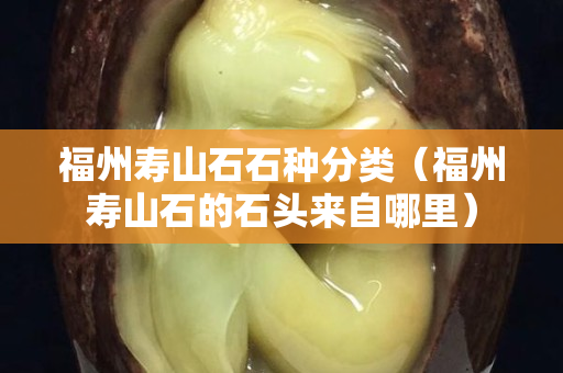 福州壽山石石種分類（福州壽山石的石頭來自哪里）