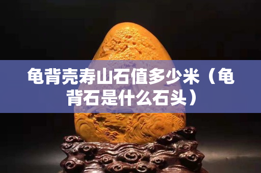 龜背殼壽山石值多少米（龜背石是什么石頭）