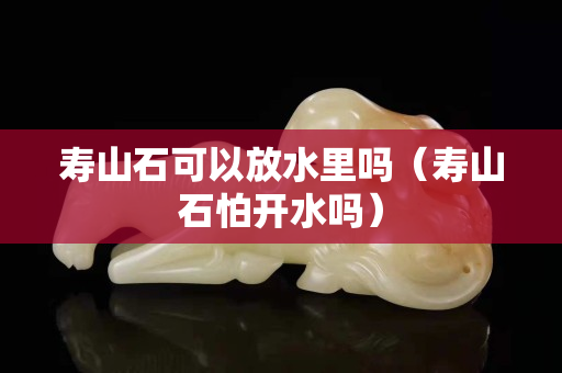 壽山石可以放水里嗎（壽山石怕開水嗎）