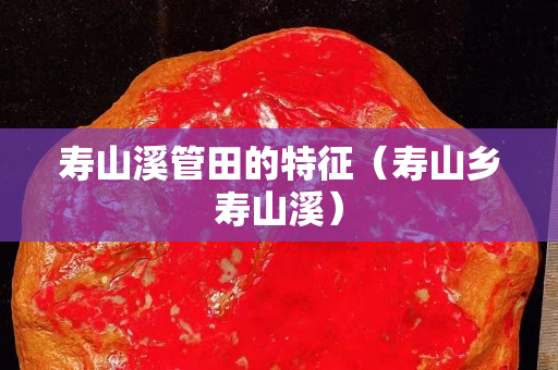 壽山溪管田的特征（壽山鄉壽山溪）