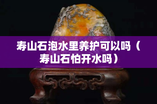 壽山石泡水里養護可以嗎（壽山石怕開水嗎）