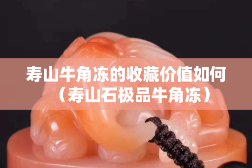 壽山牛角凍的收藏價值如何（壽山石極品牛角凍）