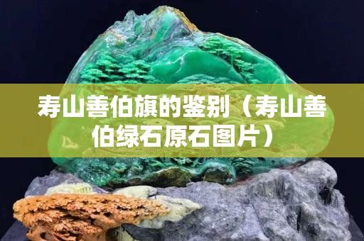 壽山善伯旗的鑒別（壽山善伯綠石原石圖片）