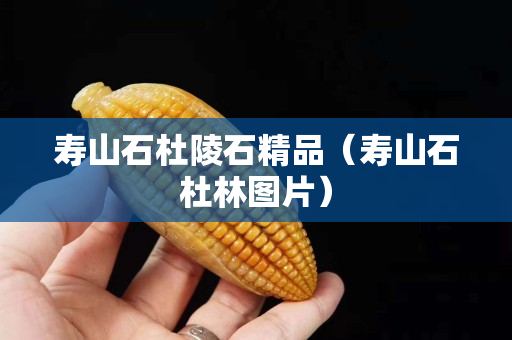 壽山石杜陵石精品（壽山石杜林圖片）