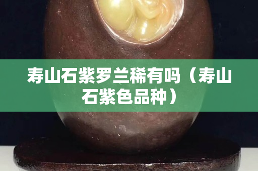 壽山石紫羅蘭稀有嗎（壽山石紫色品種）