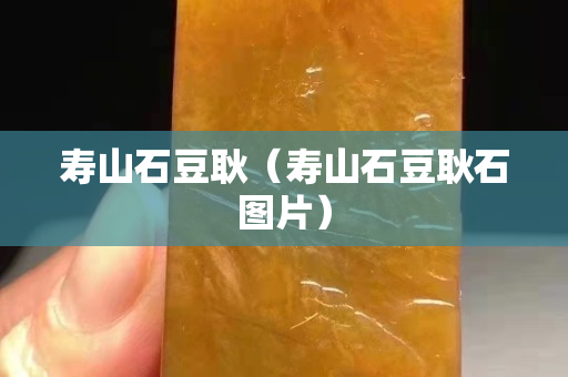 壽山石豆耿（壽山石豆耿石圖片）