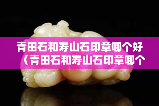 青田石和壽山石印章哪個(gè)好（青田石和壽山石印章哪個(gè)好些）