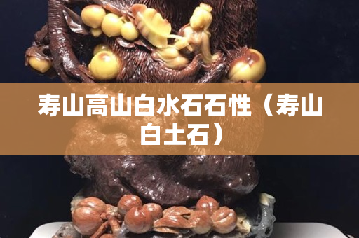 壽山高山白水石石性（壽山白土石）
