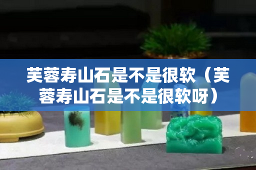 芙蓉壽山石是不是很軟（芙蓉壽山石是不是很軟呀）