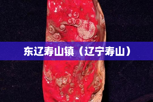 東遼壽山鎮(zhèn)（遼寧壽山）