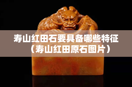 壽山紅田石要具備哪些特征（壽山紅田原石圖片）