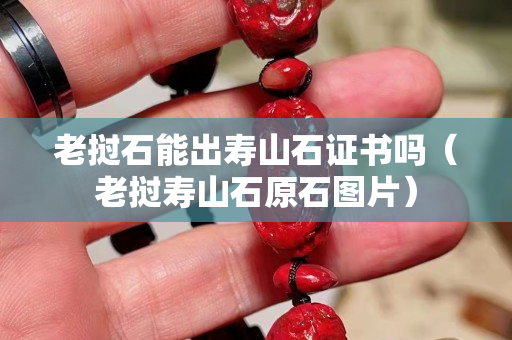老撾石能出壽山石證書嗎（老撾壽山石原石圖片）