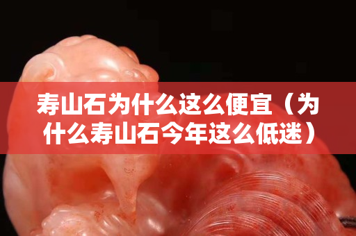 壽山石為什么這么便宜（為什么壽山石今年這么低迷）