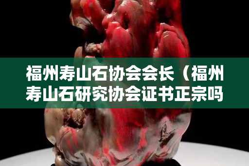 福州壽山石協(xié)會會長（福州壽山石研究協(xié)會證書正宗嗎）