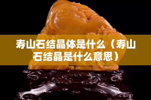 壽山石結(jié)晶體是什么（壽山石結(jié)晶是什么意思）