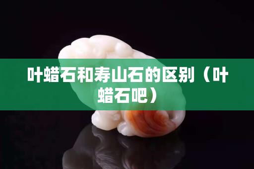 葉蠟石和壽山石的區別（葉蠟石吧）