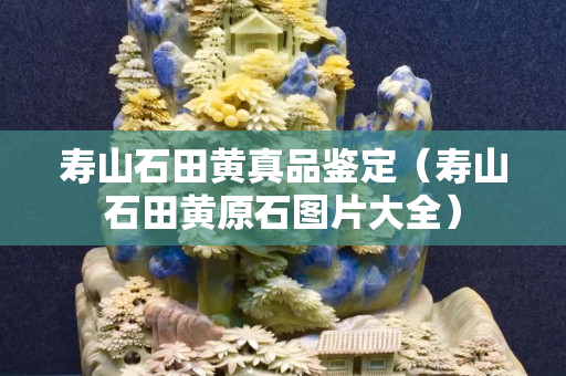 壽山石田黃真品鑒定（壽山石田黃原石圖片大全）