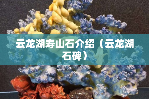 云龍湖壽山石介紹（云龍湖石碑）