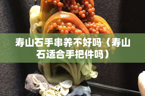 壽山石手串養不好嗎（壽山石適合手把件嗎）